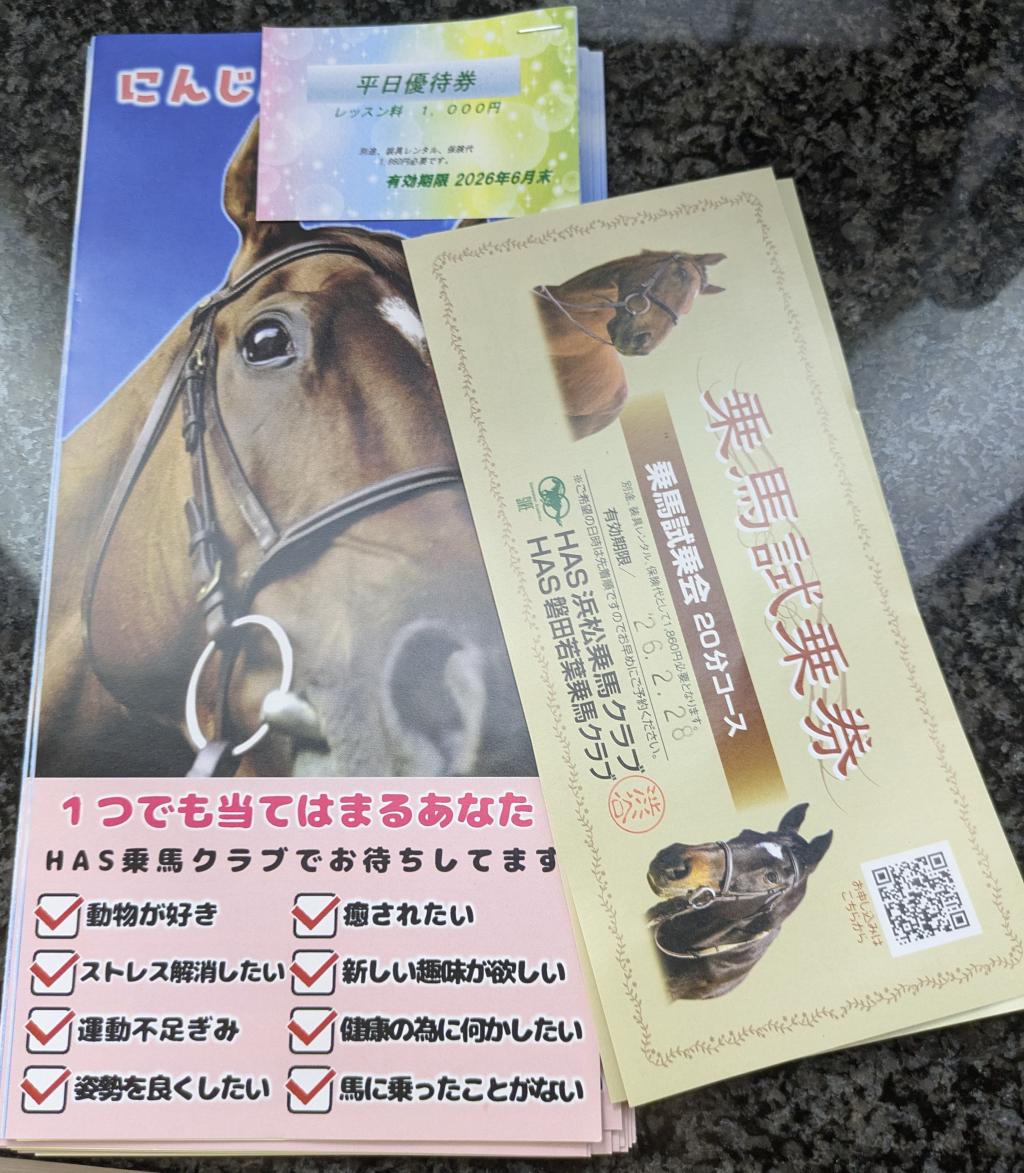 乗馬体験いかがですか?